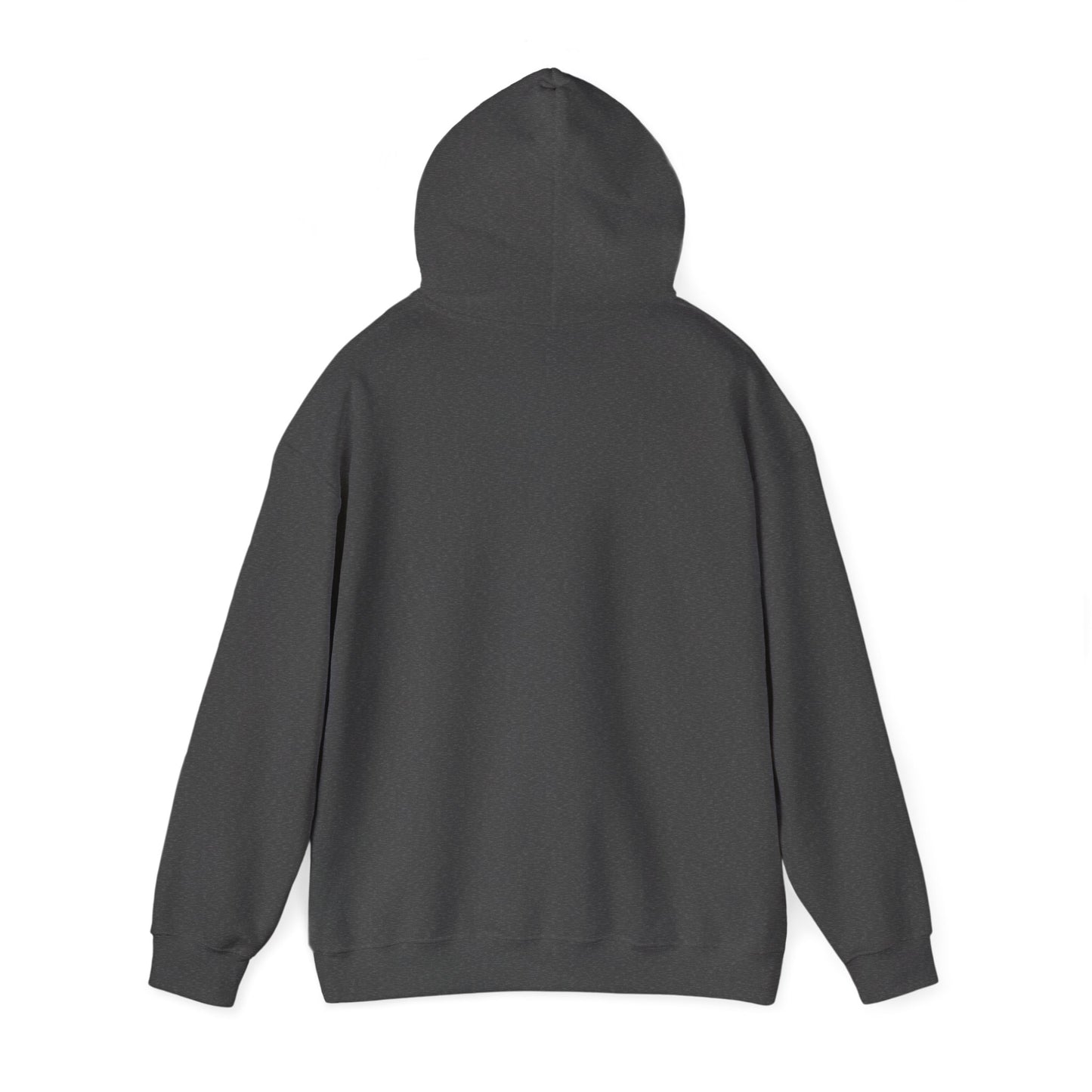 Protect Your Energy Hooded Sweatshirt