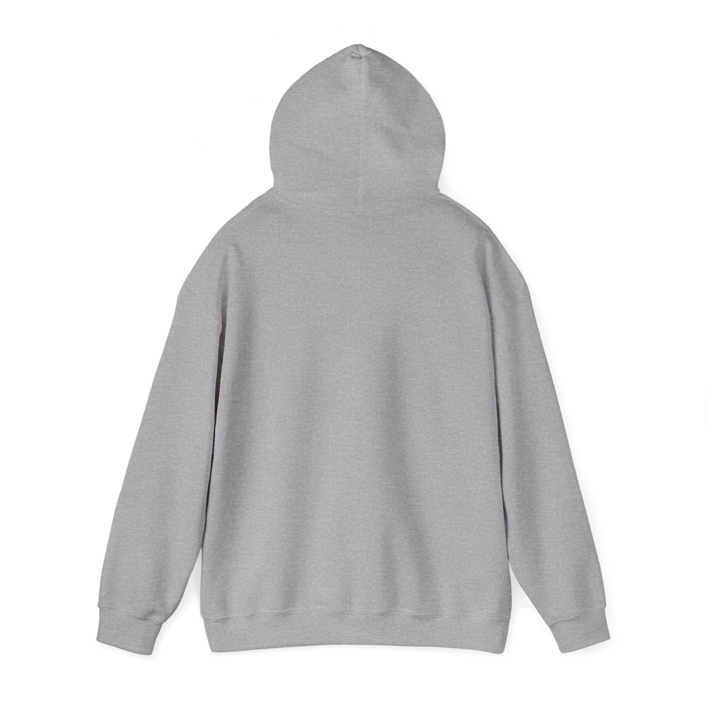 Protect Your Energy Hooded Sweatshirt